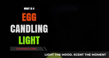 Egg Candling Light: A Beginner's Guide to Hatching Success
