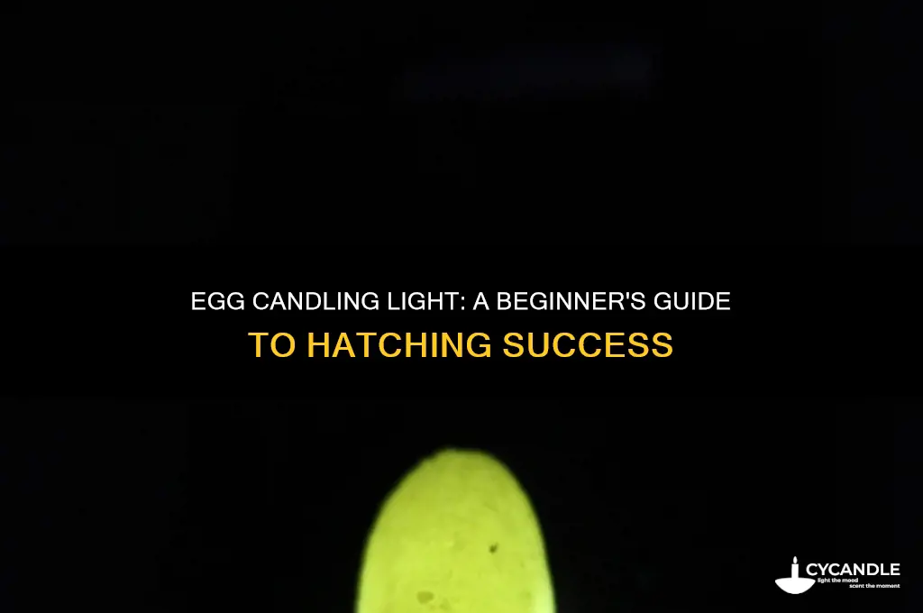 what is a egg candling light