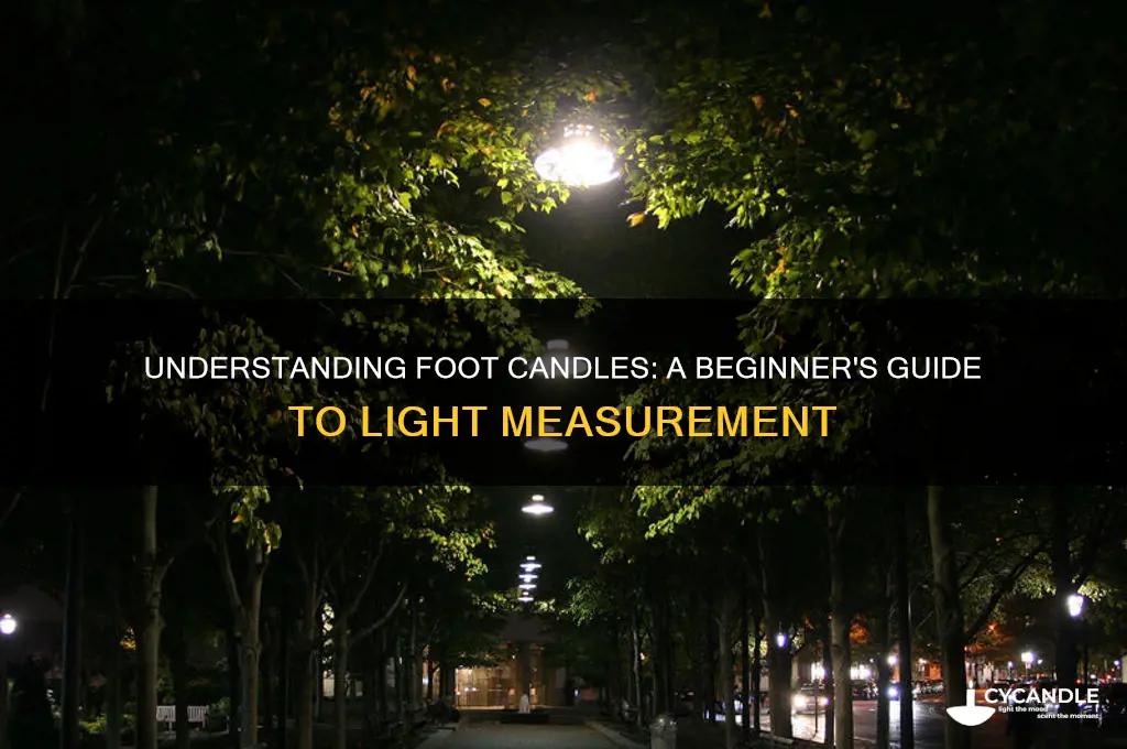 what is a foot candl