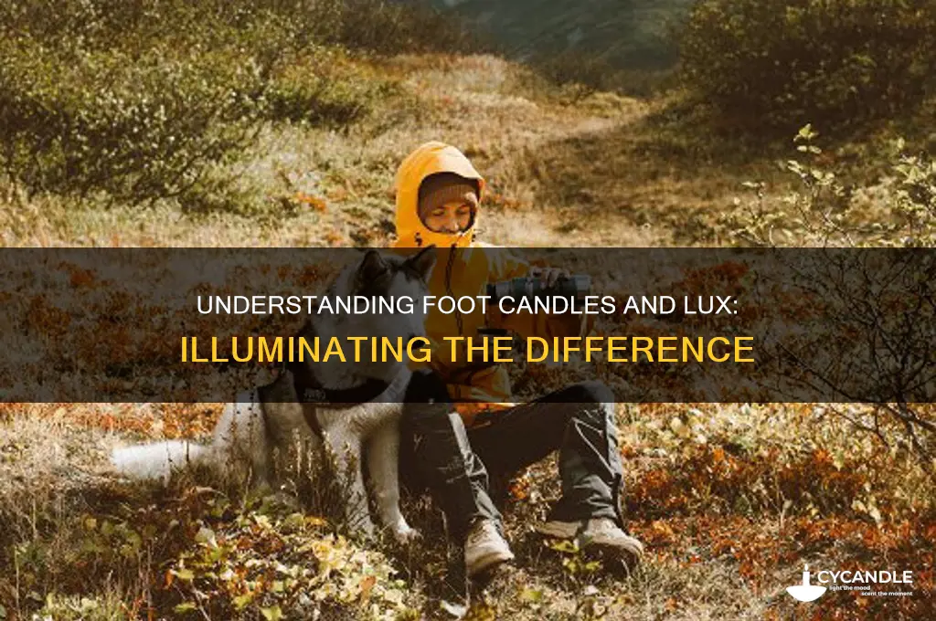 what is a foot candle in lux