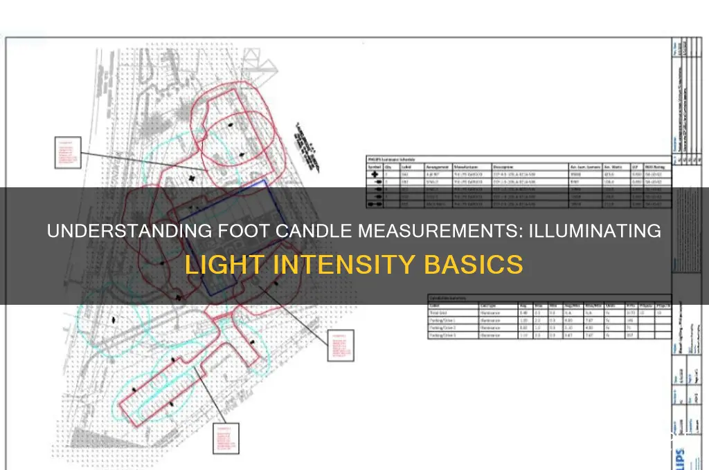 what is a foot candle measurement