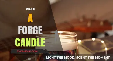 Discover the Warmth: Understanding the Unique Forge Candle Experience