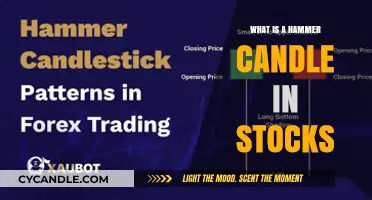 Understanding Hammer Candles: Key Signals for Stock Market Reversals