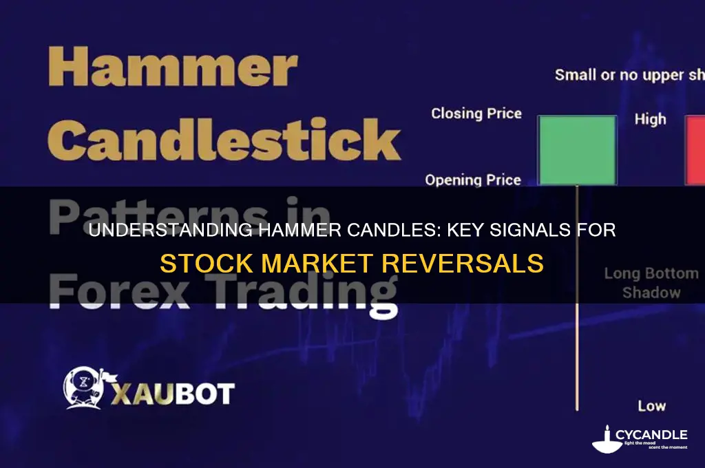 what is a hammer candle in stocks