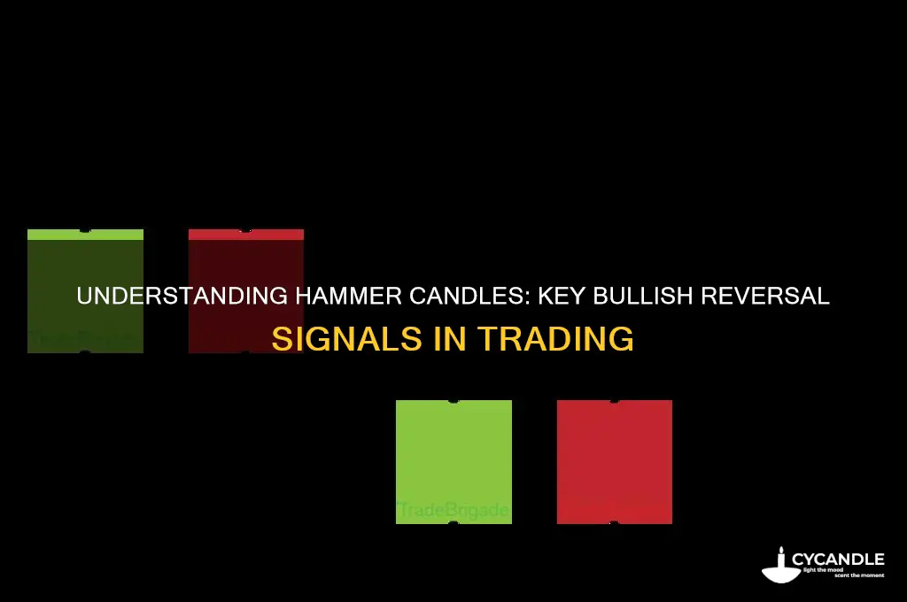 what is a hammer candle in trading