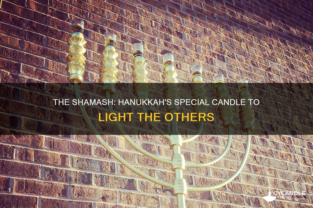 what is a hanukkah candle called to light the others