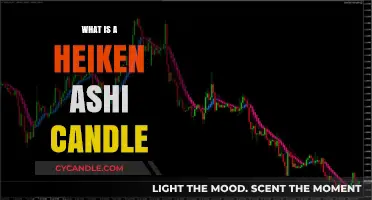 Understanding Heiken Ashi Candles: A Beginner's Guide to Smooth Charting