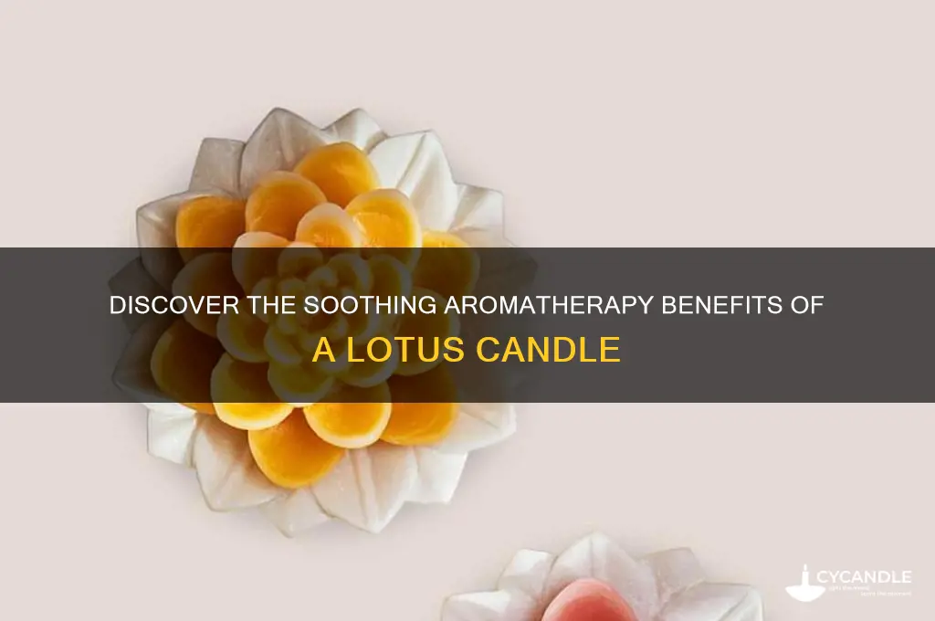 what is a lotus candle