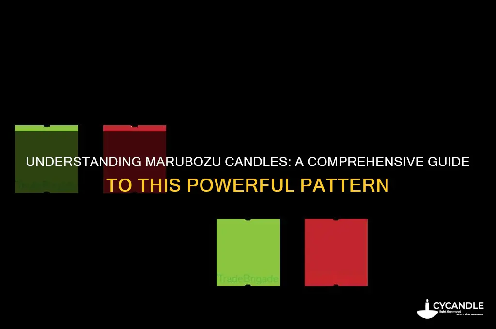 what is a marubozu candle