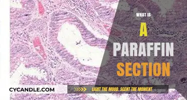 Understanding Paraffin Sections: A Key Technique in Histology Explained