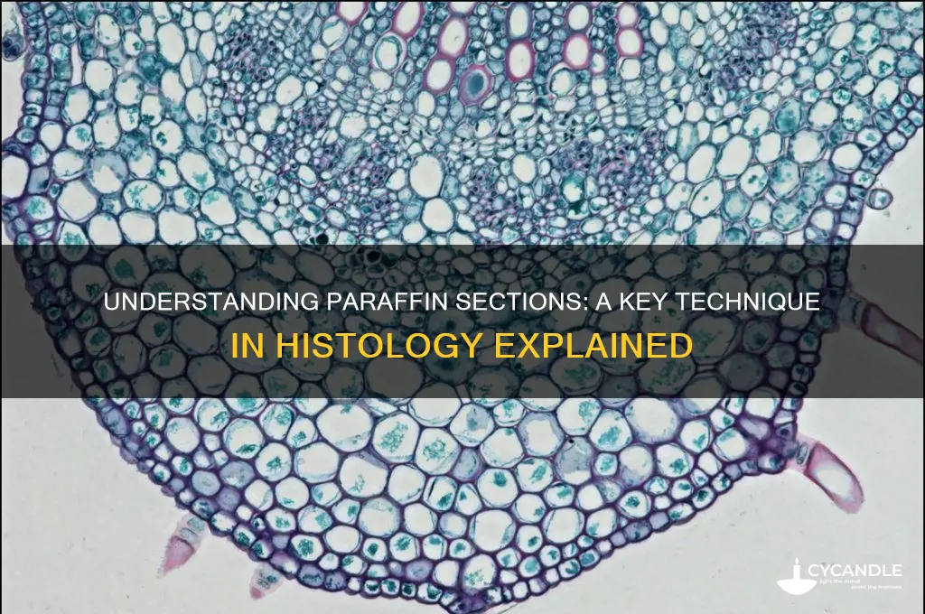 what is a paraffin section