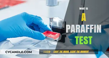 Understanding the Paraffin Test: Uses, Procedure, and Results Explained