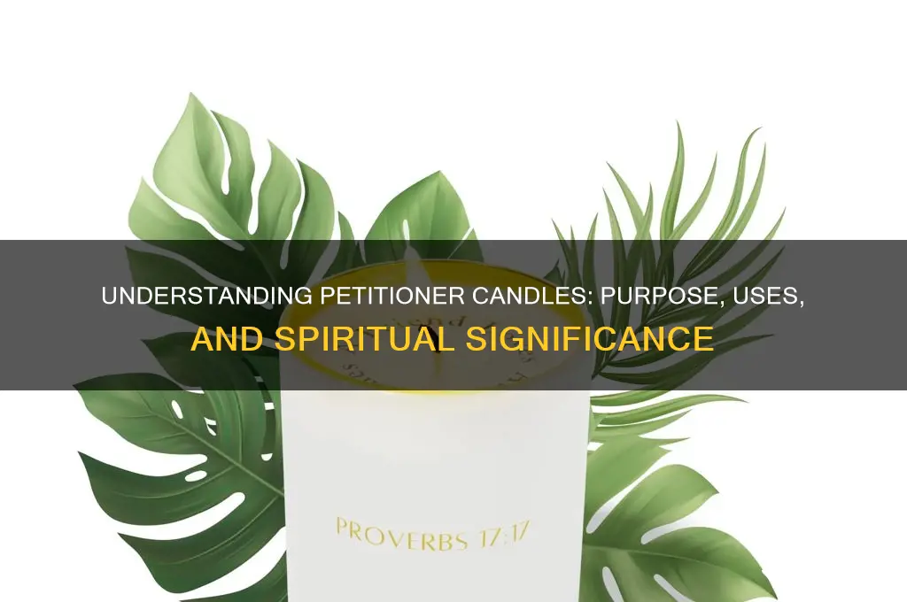 what is a petitioner candle