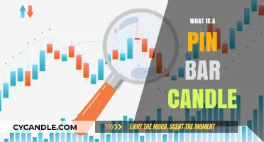 Understanding Pin Bar Candles: A Powerful Forex Trading Pattern Explained