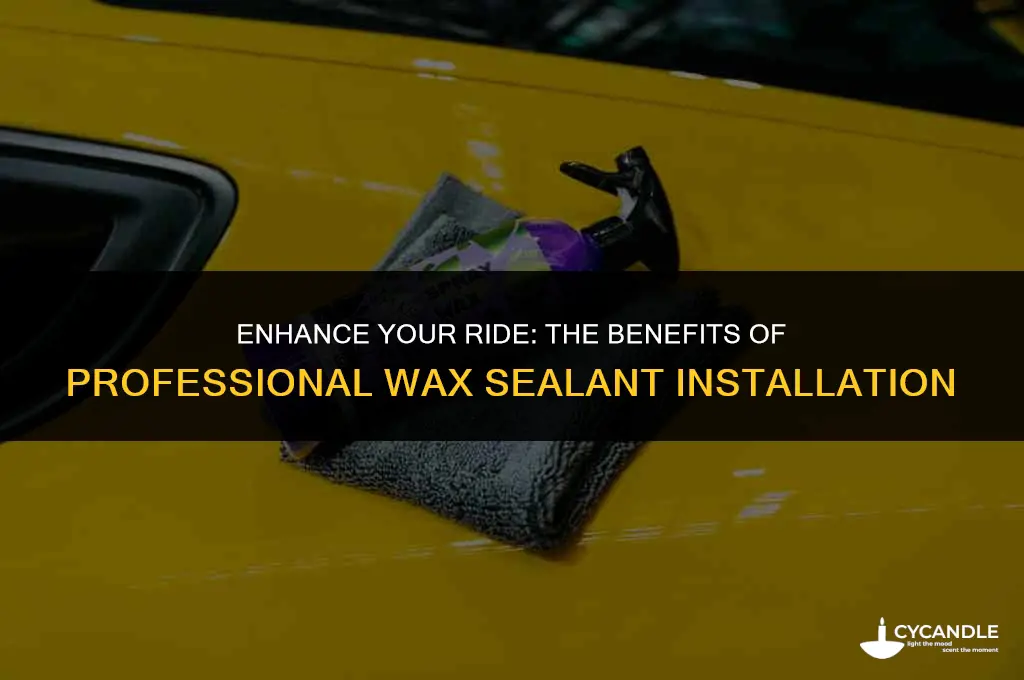 what is a professional installed sealer wax on cars