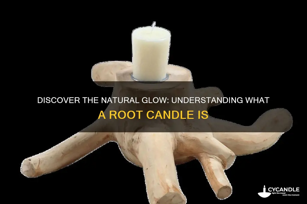 what is a root candle