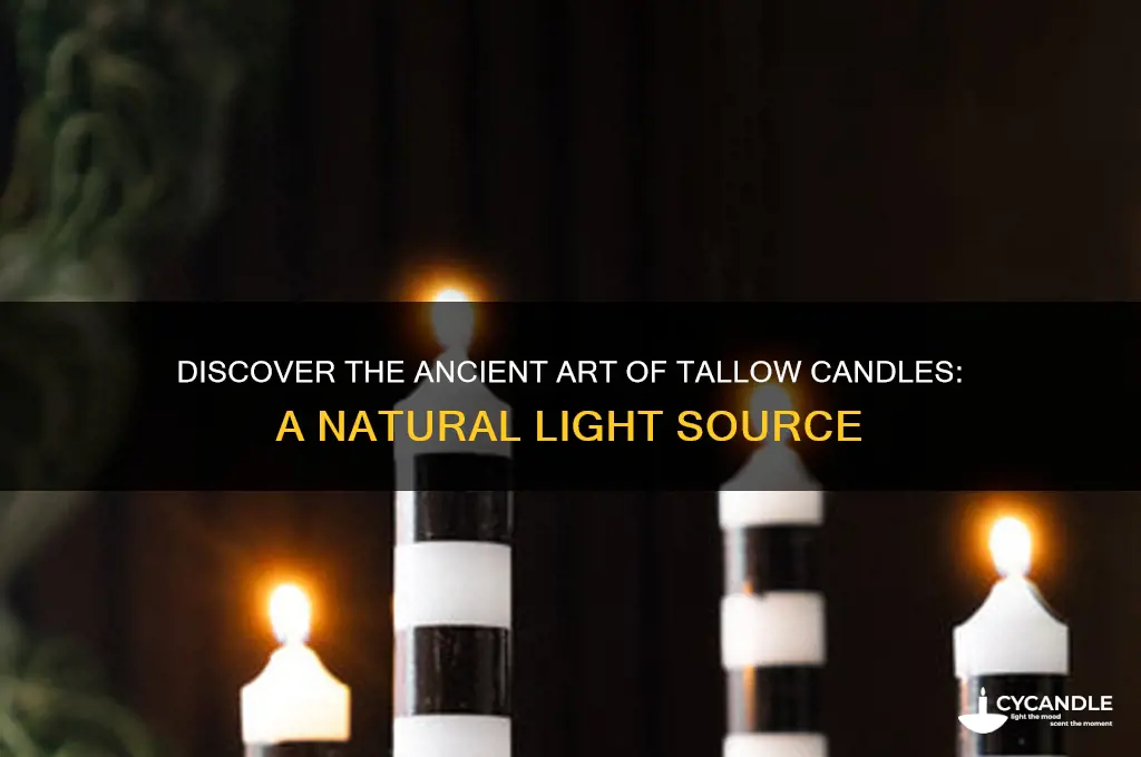 what is a tallow candle