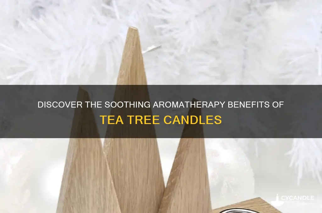 what is a tea tree candle