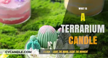 Discover the Magic of Terrarium Candles: A Unique Aromatic Experience