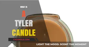 Discover the Scent-sational World of Tyler Candles: A Guide