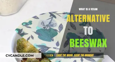 Discover Eco-Friendly Vegan Alternatives to Beeswax for Sustainable Living