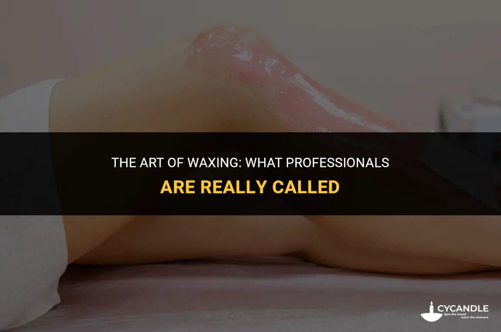 what is a waxer called