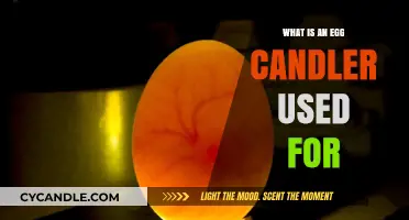 Egg Candler Uses: Illuminating the Purpose of This Handy Tool