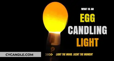 Understanding Egg Candling Lights: A Beginner's Guide to Hatching Success