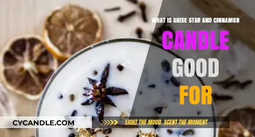 Anise Star and Cinnamon Candles: Benefits, Uses, and Aromatic Bliss