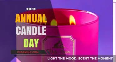 Annual Candle Day: Celebrating Light, Tradition, and Community Spirit