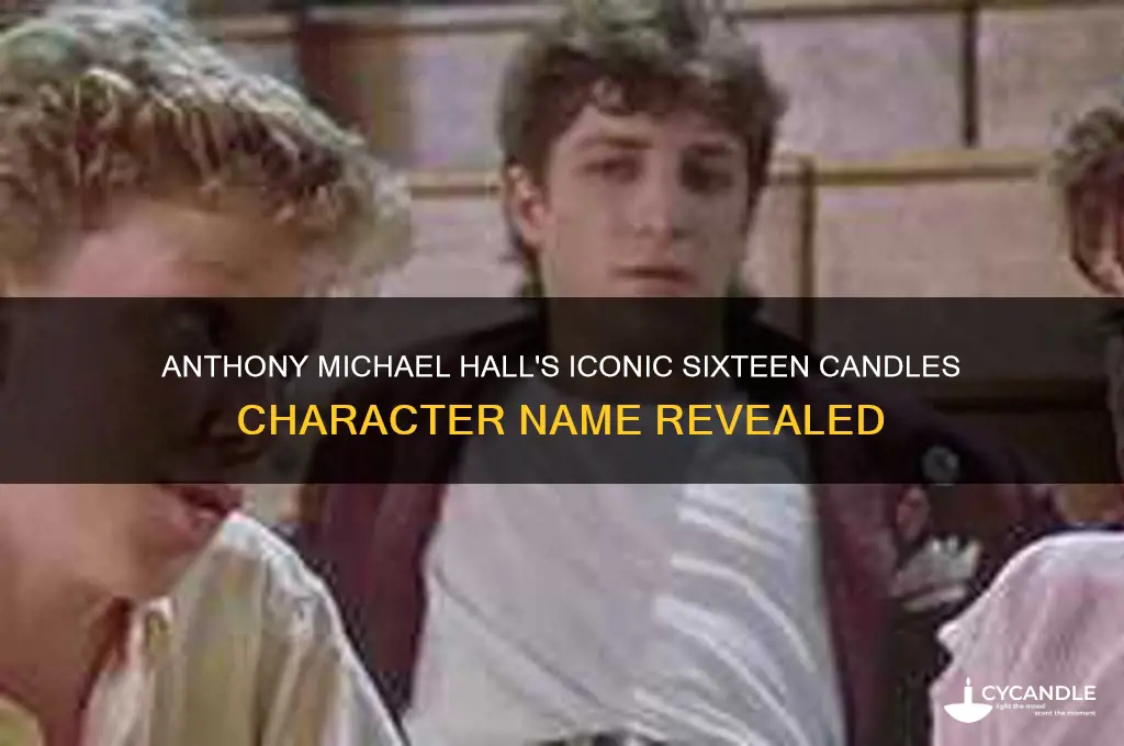 what is anthony michael hall name in sixteen candles