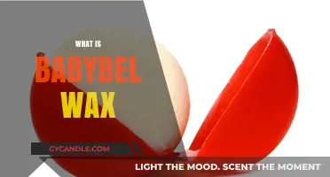 Unwrapping the Mystery: What's Inside Babybel Wax?