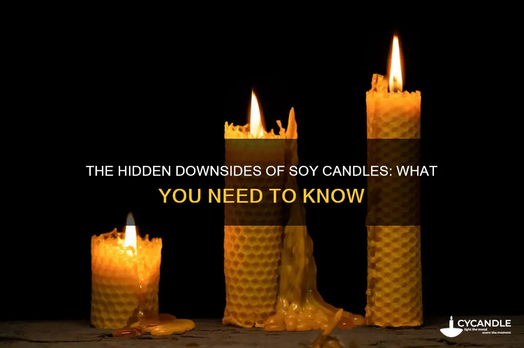 what is bad about soy candles