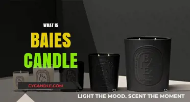 Discover the Allure of Baies Candles: A Luxurious Scented Experience