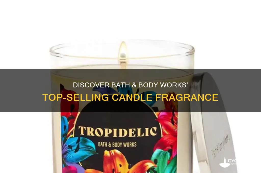 what is bath and body works best selling candle