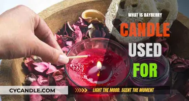 Bayberry Candles: Uses, Benefits, and Holiday Traditions Explained