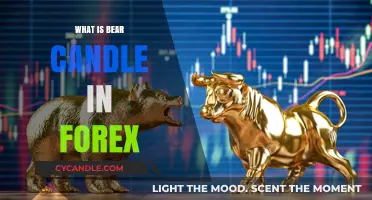 Understanding Bear Candles in Forex: A Comprehensive Guide for Traders