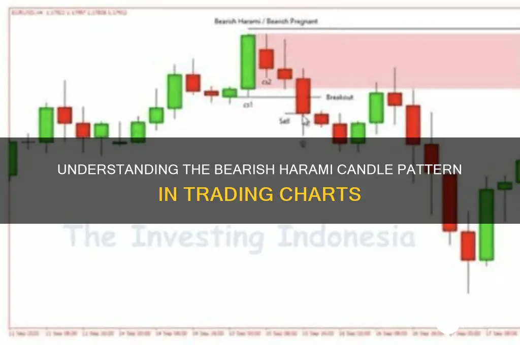 what is bearish harami candle pattern