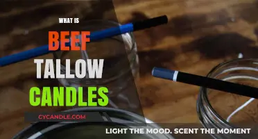 Beef Tallow Candles: Eco-Friendly, Historic, and Sustainable Lighting Explained