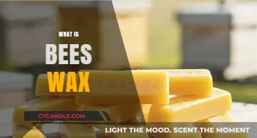 Unlocking the Secrets of Beeswax: Nature's Versatile Gift