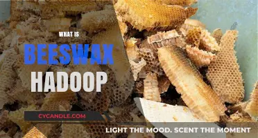 Understanding Beeswax Hadoop: A Comprehensive Guide to Data Querying