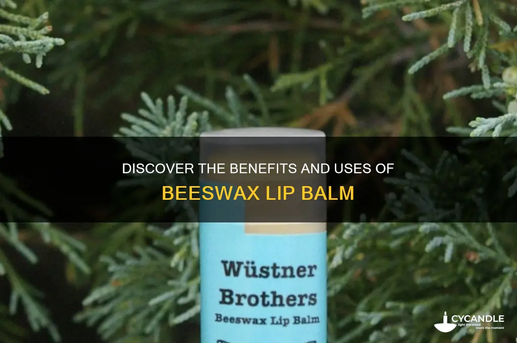 what is beeswax lipbalm used for