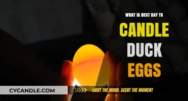 Optimal Candling Day for Duck Eggs: A Hatching Success Guide