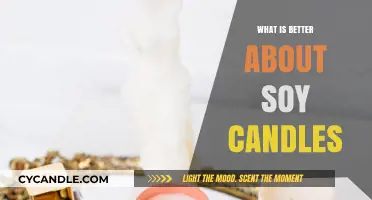 Soy Candles: Eco-Friendly, Clean-Burning, and Longer-Lasting Benefits Explained