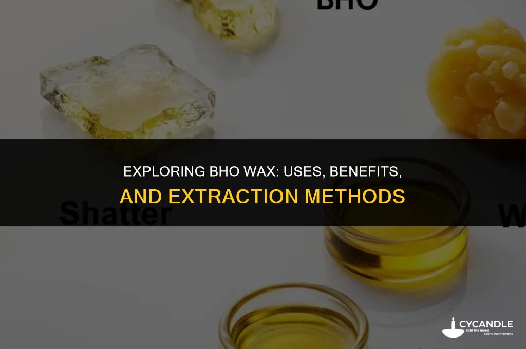 what is bho wax