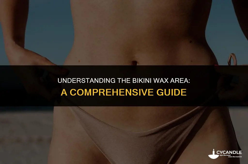 what is bikini wax area
