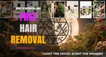 Botanical Wax-Free Hair Removal: A Natural, Gentle Alternative Explained