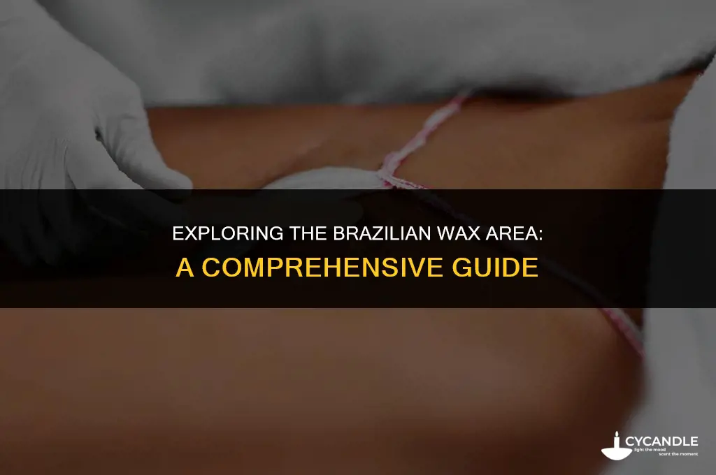what is brazilian wax area