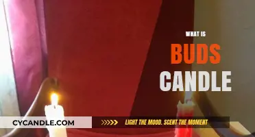 Discover the Magic of Buds Candle: A Complete Guide