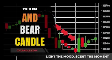 Understanding Bull and Bear Candles: A Beginner's Guide to Market Trends